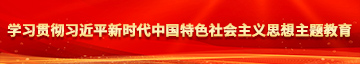 添女人的屄学习贯彻习近平新时代中国特色社会主义思想主题教育